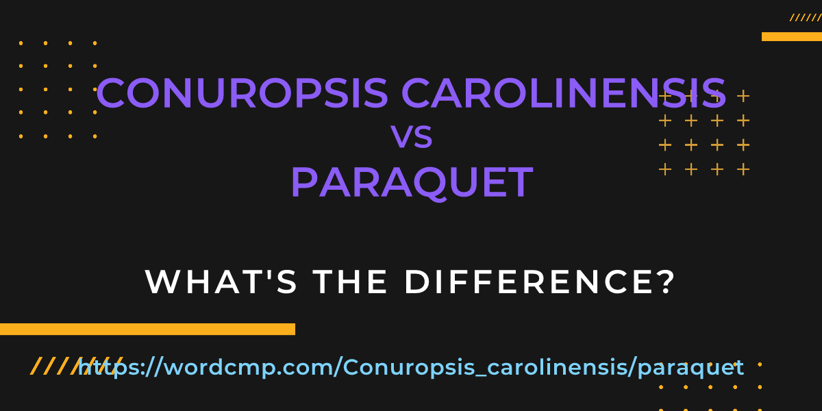 Difference between Conuropsis carolinensis and paraquet