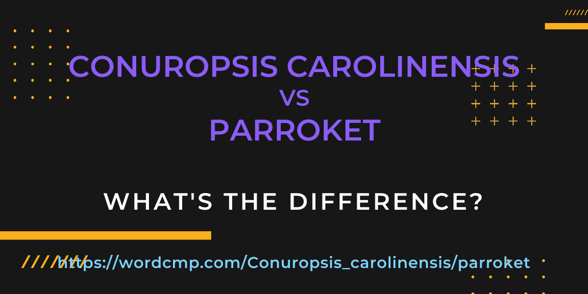 Difference between Conuropsis carolinensis and parroket