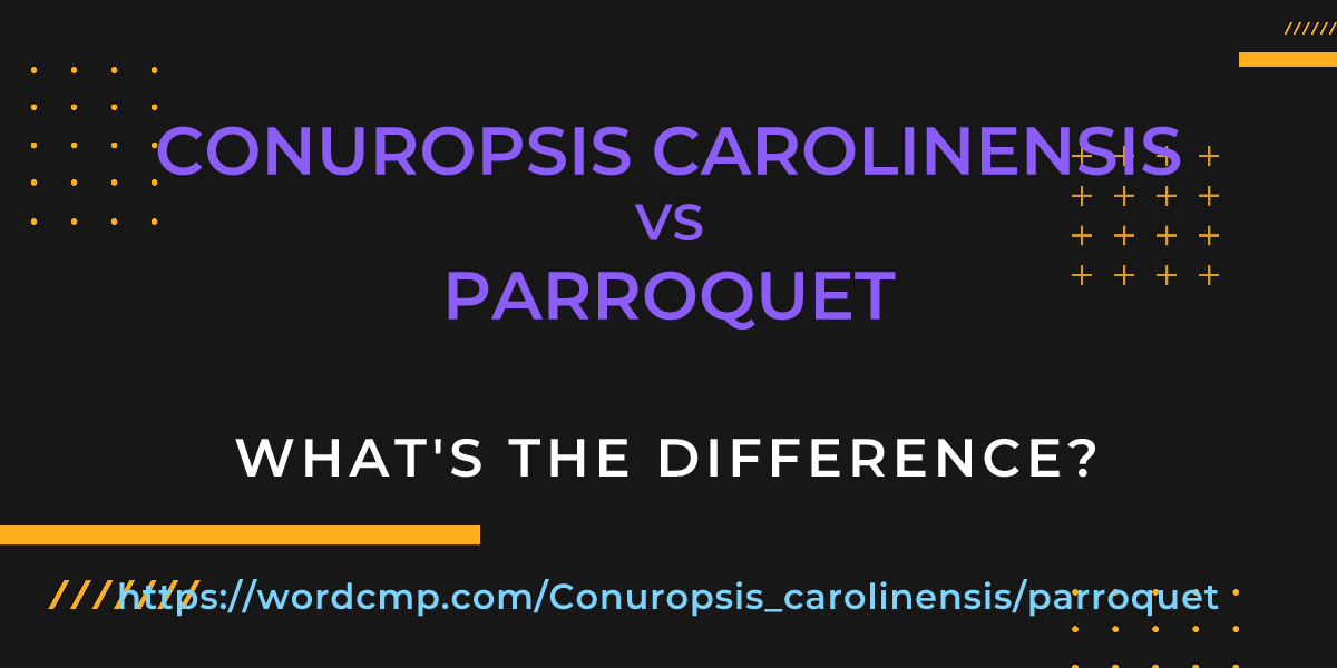 Difference between Conuropsis carolinensis and parroquet