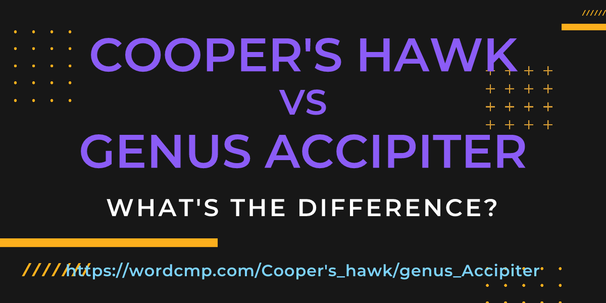 Difference between Cooper's hawk and genus Accipiter