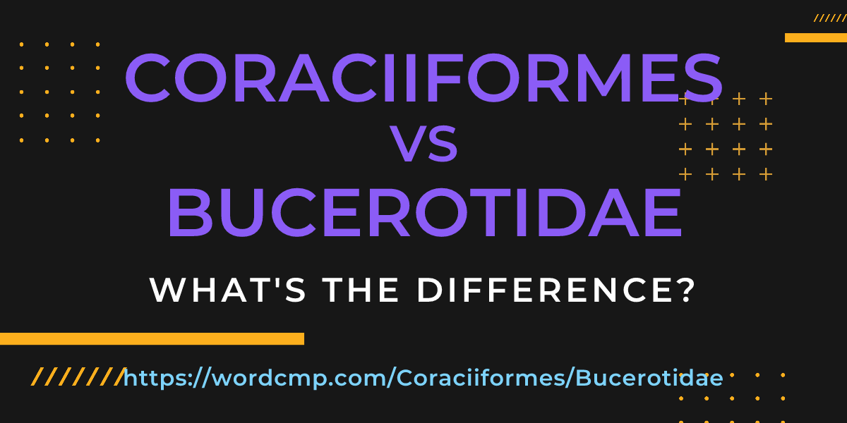 Difference between Coraciiformes and Bucerotidae
