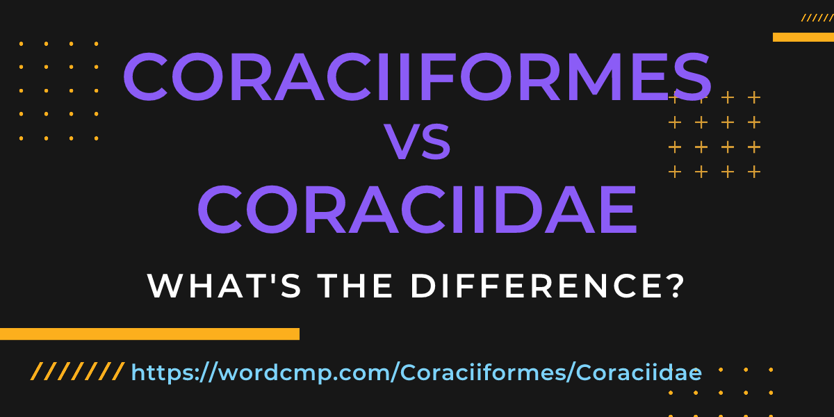 Difference between Coraciiformes and Coraciidae