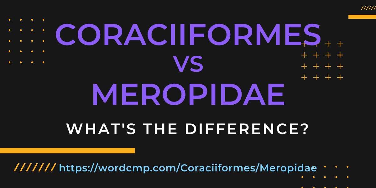 Difference between Coraciiformes and Meropidae