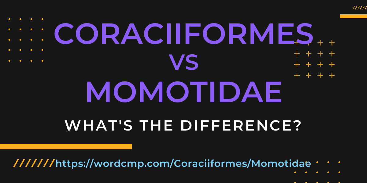 Difference between Coraciiformes and Momotidae