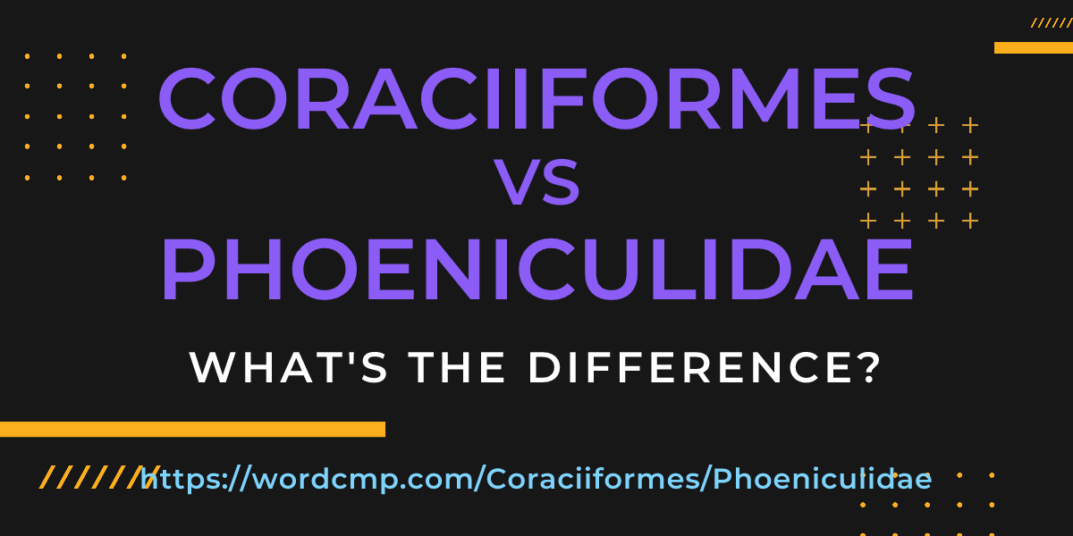 Difference between Coraciiformes and Phoeniculidae