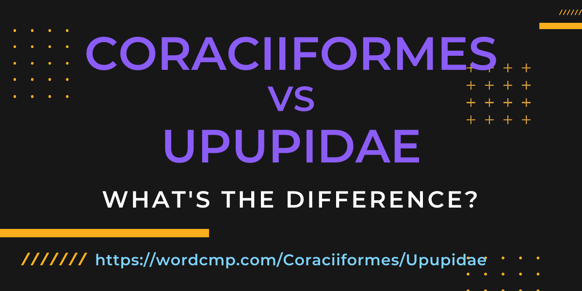 Difference between Coraciiformes and Upupidae