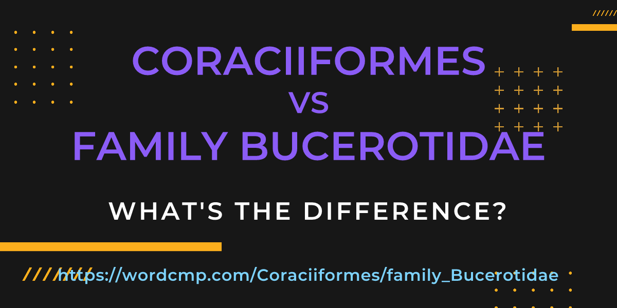 Difference between Coraciiformes and family Bucerotidae