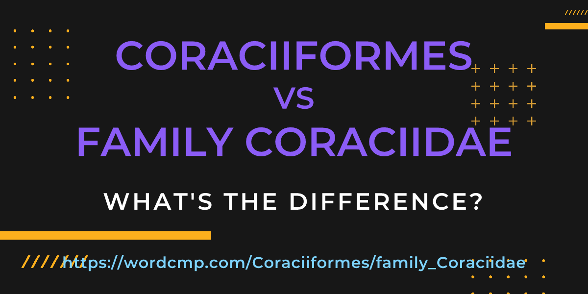 Difference between Coraciiformes and family Coraciidae
