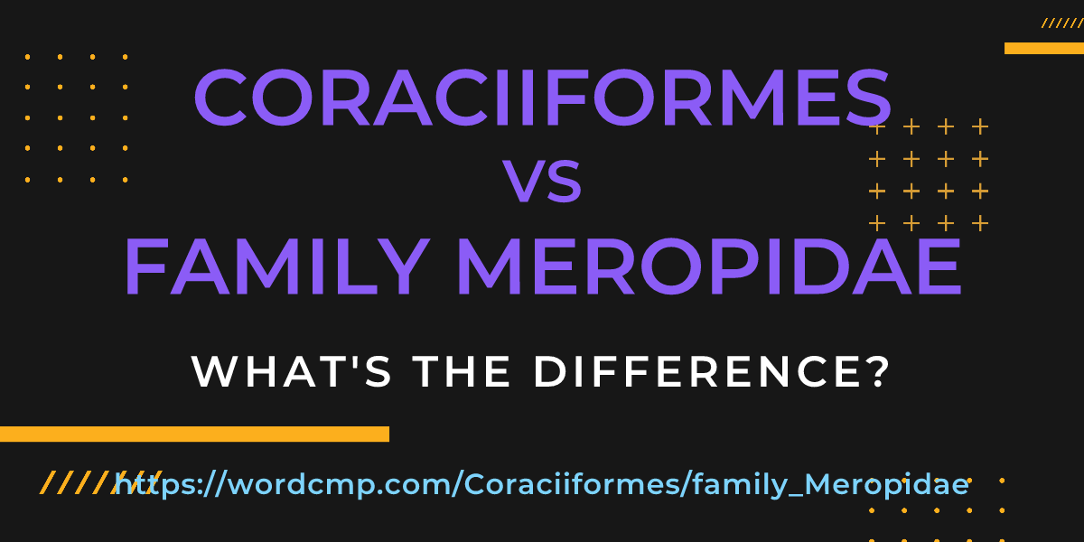 Difference between Coraciiformes and family Meropidae