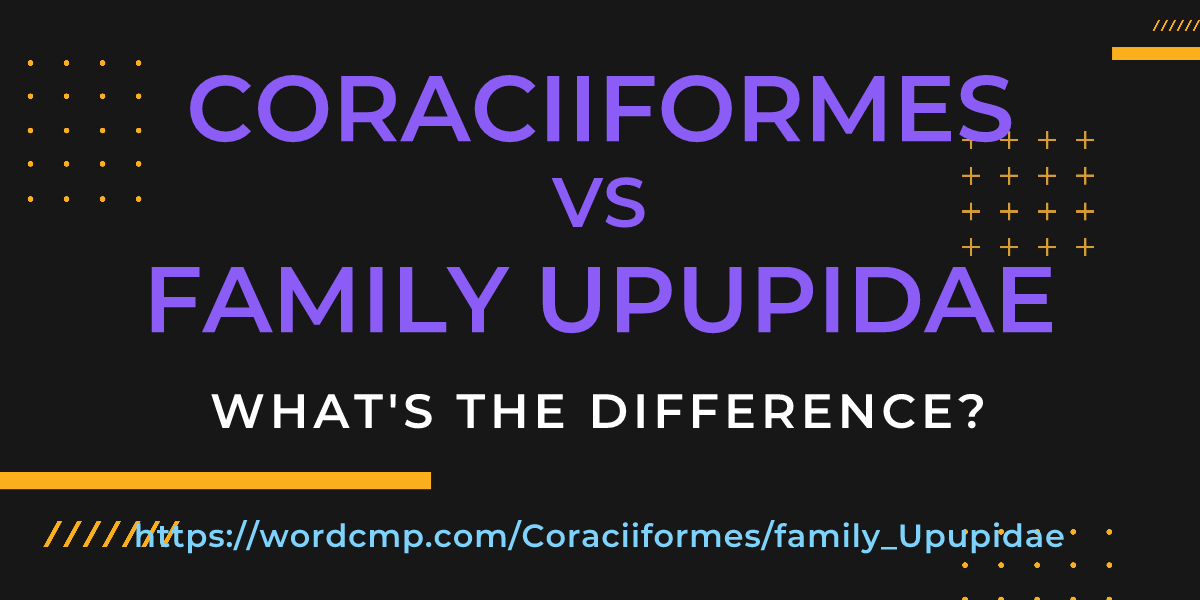 Difference between Coraciiformes and family Upupidae