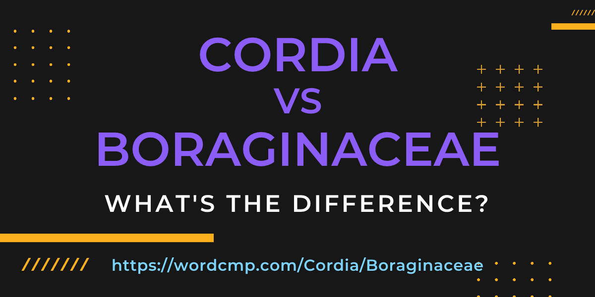 Difference between Cordia and Boraginaceae