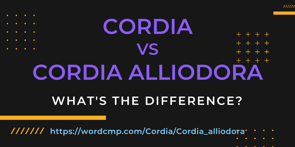 Difference between Cordia and Cordia alliodora