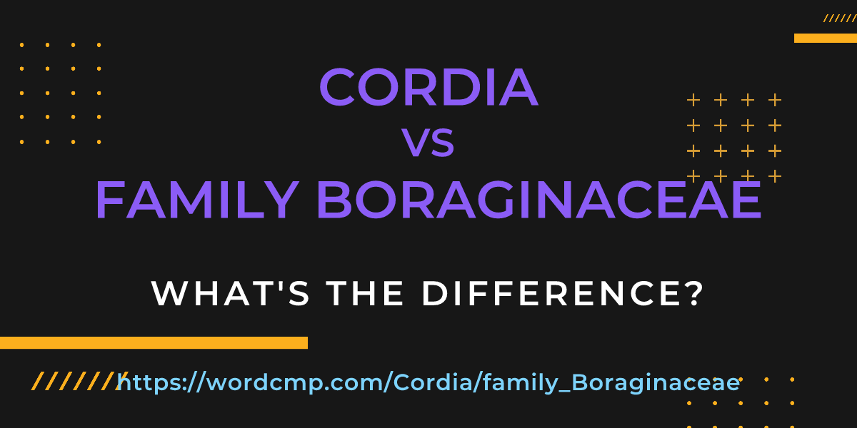 Difference between Cordia and family Boraginaceae