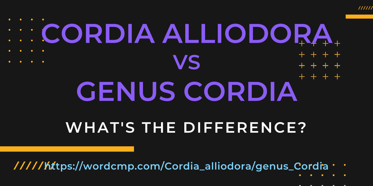Difference between Cordia alliodora and genus Cordia