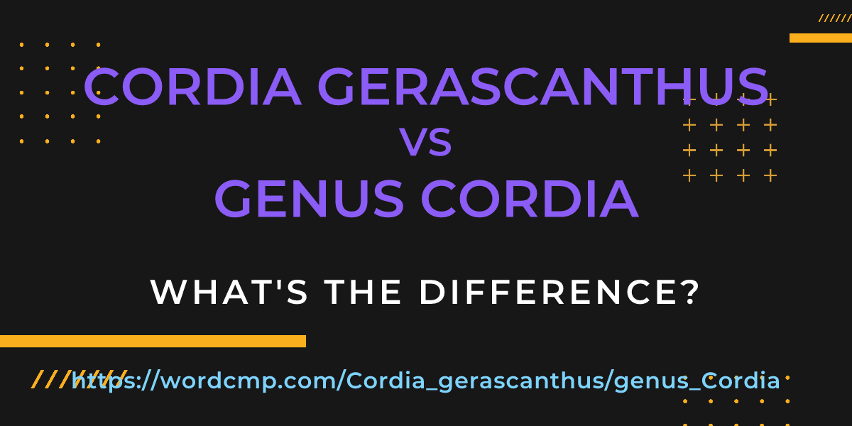 Difference between Cordia gerascanthus and genus Cordia