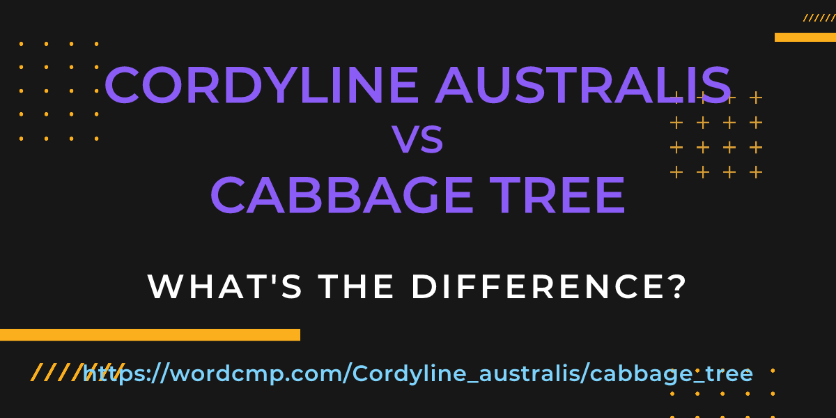 Difference between Cordyline australis and cabbage tree