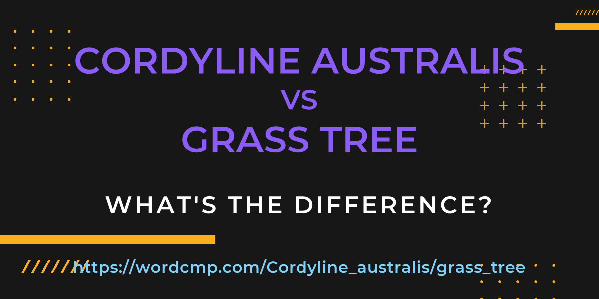 Difference between Cordyline australis and grass tree