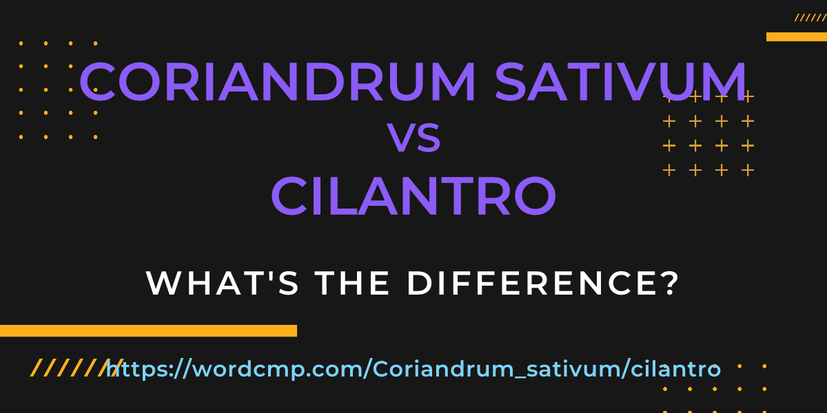 Difference between Coriandrum sativum and cilantro