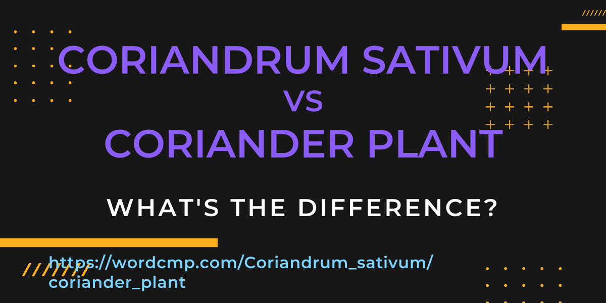 Difference between Coriandrum sativum and coriander plant