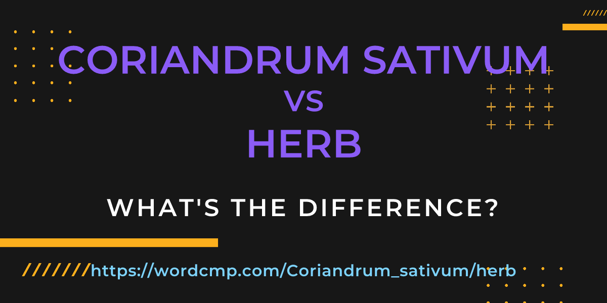 Difference between Coriandrum sativum and herb