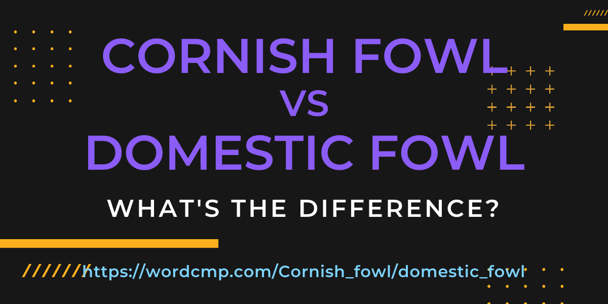 Difference between Cornish fowl and domestic fowl