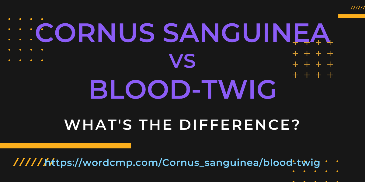 Difference between Cornus sanguinea and blood-twig
