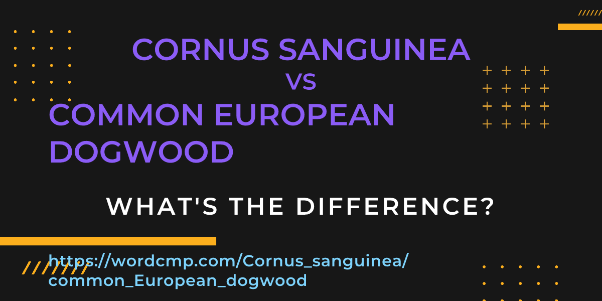 Difference between Cornus sanguinea and common European dogwood