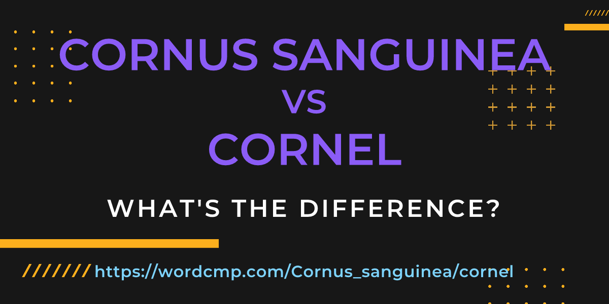 Difference between Cornus sanguinea and cornel