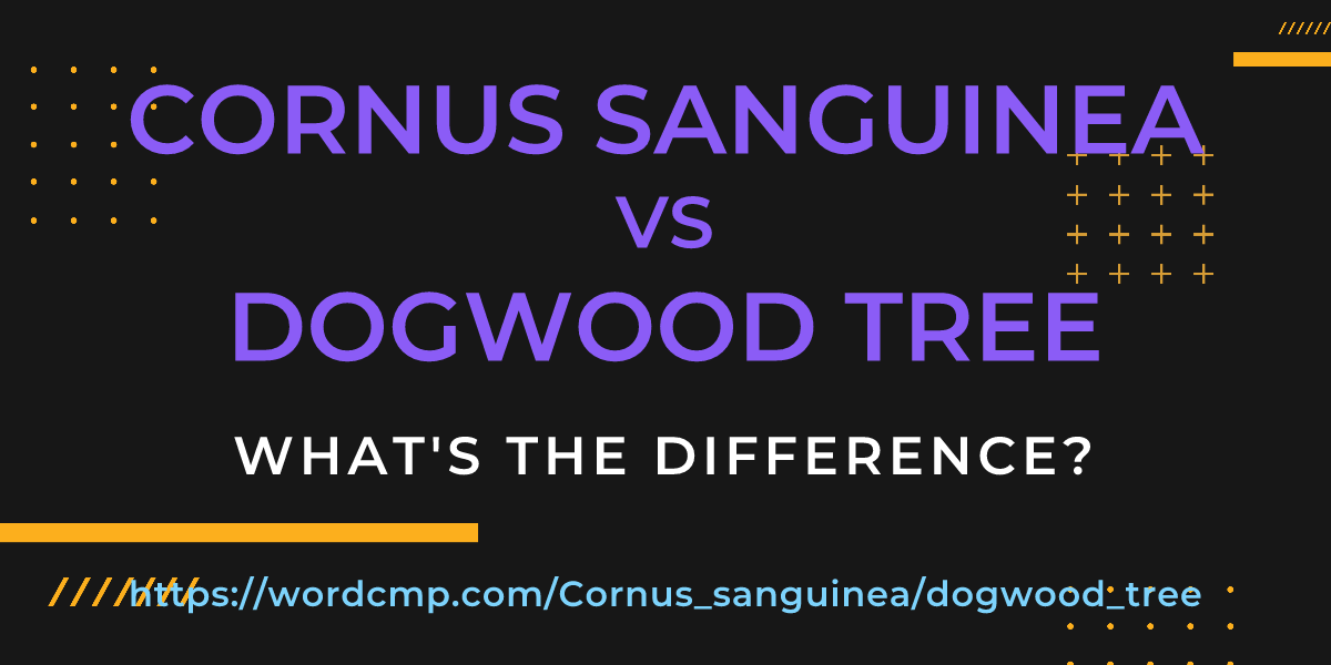 Difference between Cornus sanguinea and dogwood tree
