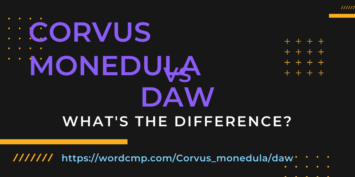 Difference between Corvus monedula and daw