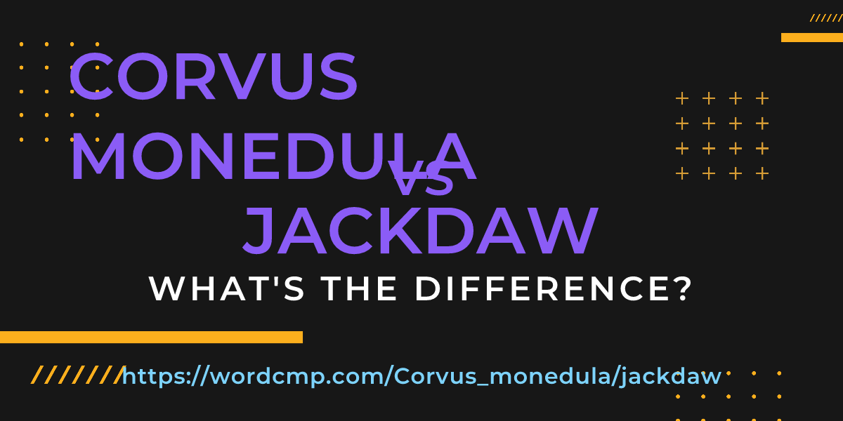 Difference between Corvus monedula and jackdaw