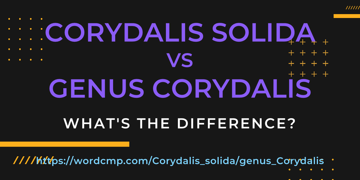 Difference between Corydalis solida and genus Corydalis