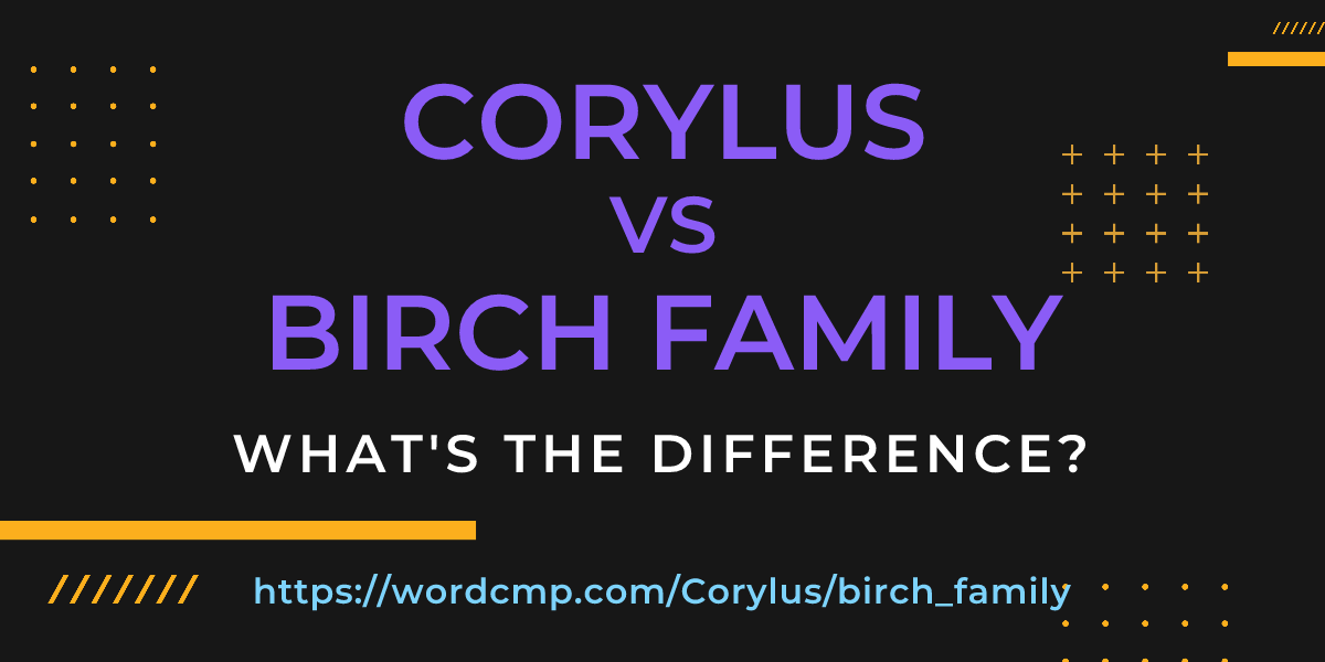 Difference between Corylus and birch family