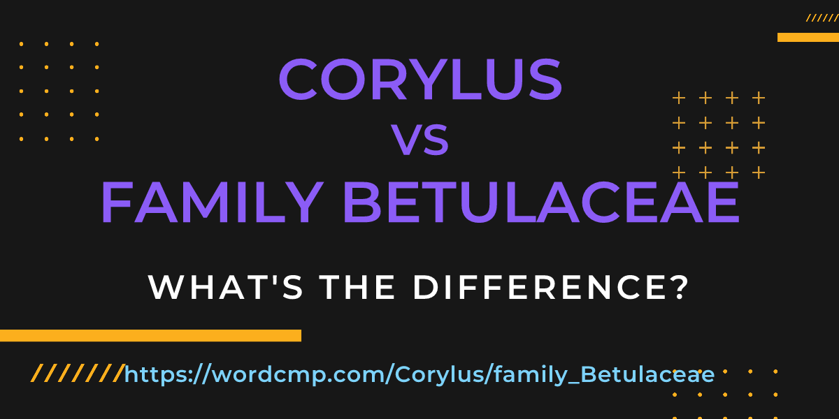 Difference between Corylus and family Betulaceae