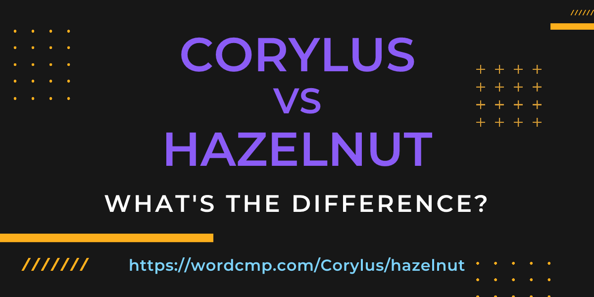 Difference between Corylus and hazelnut