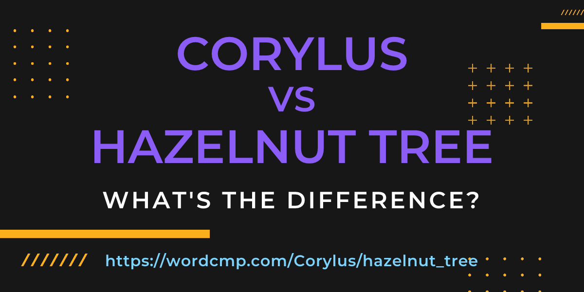 Difference between Corylus and hazelnut tree