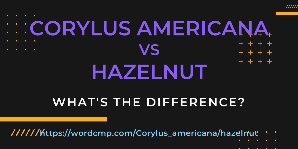 Difference between Corylus americana and hazelnut