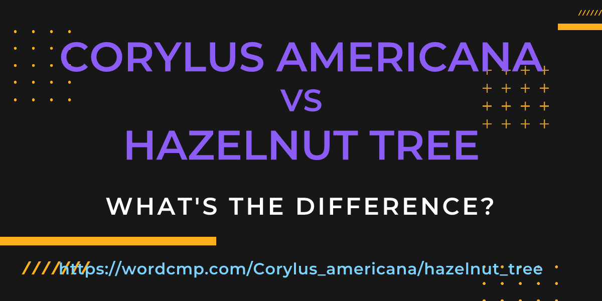Difference between Corylus americana and hazelnut tree