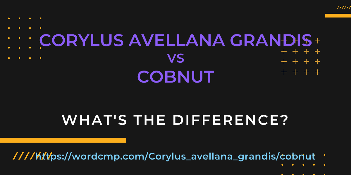Difference between Corylus avellana grandis and cobnut