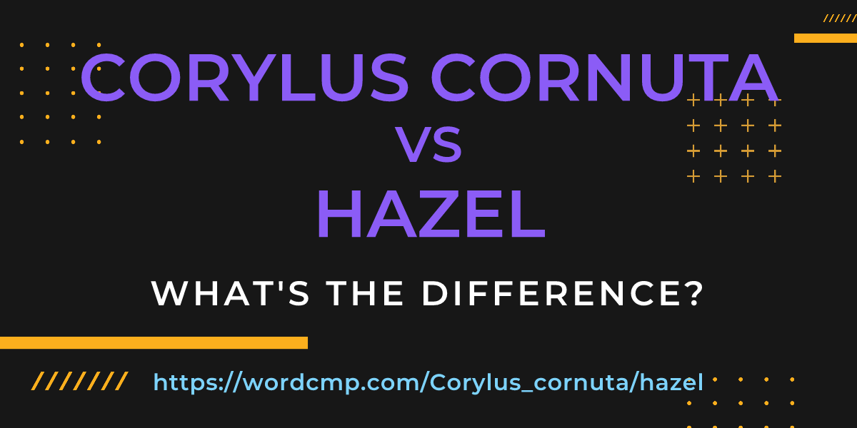 Difference between Corylus cornuta and hazel