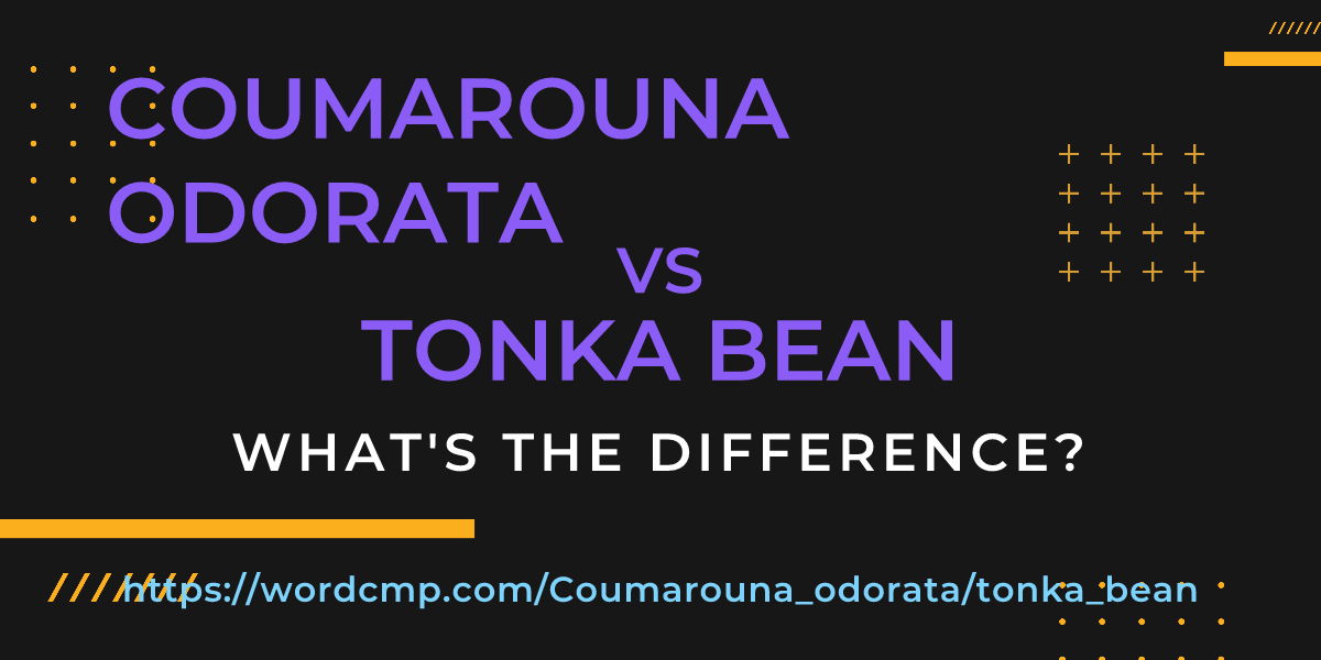 Difference between Coumarouna odorata and tonka bean