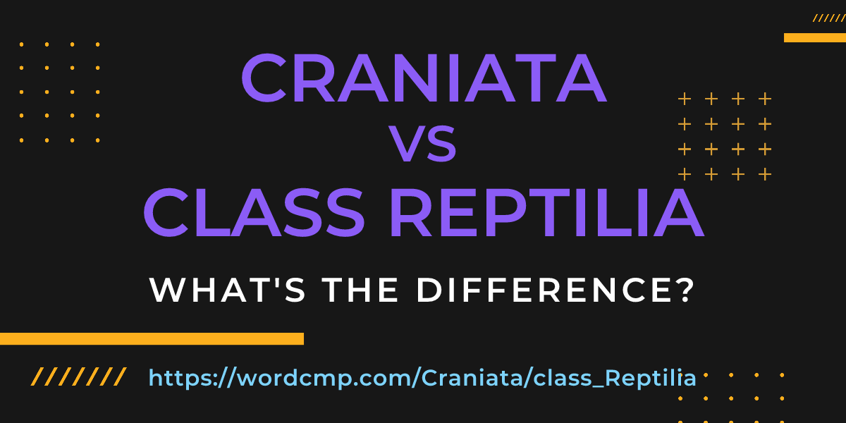 Difference between Craniata and class Reptilia