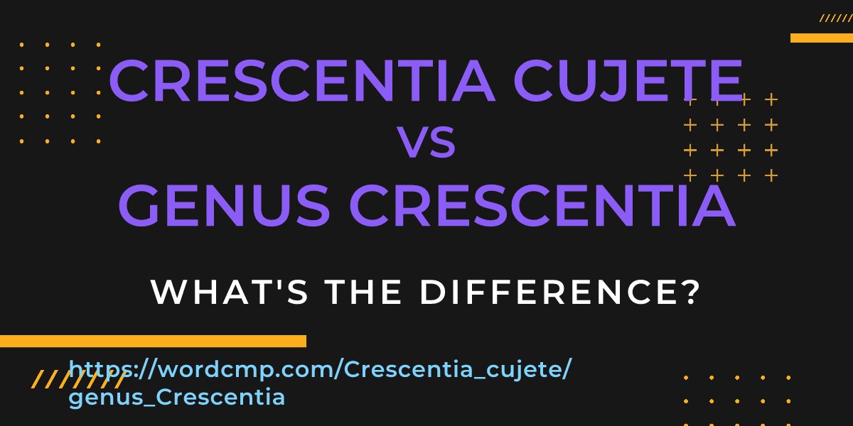 Difference between Crescentia cujete and genus Crescentia