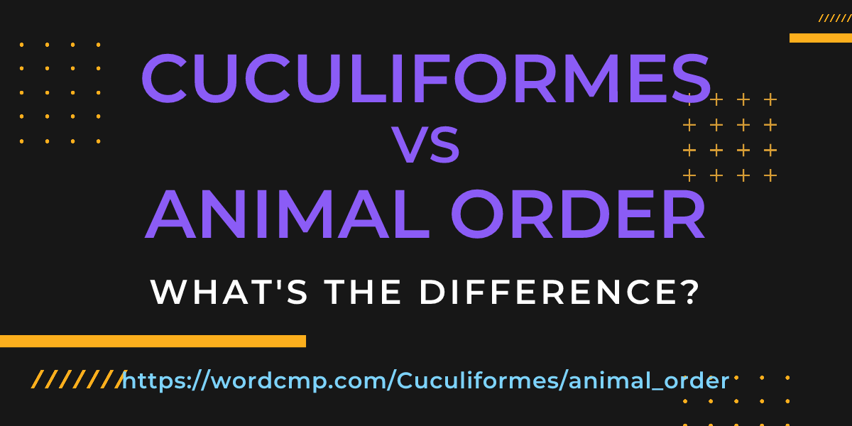 Difference between Cuculiformes and animal order