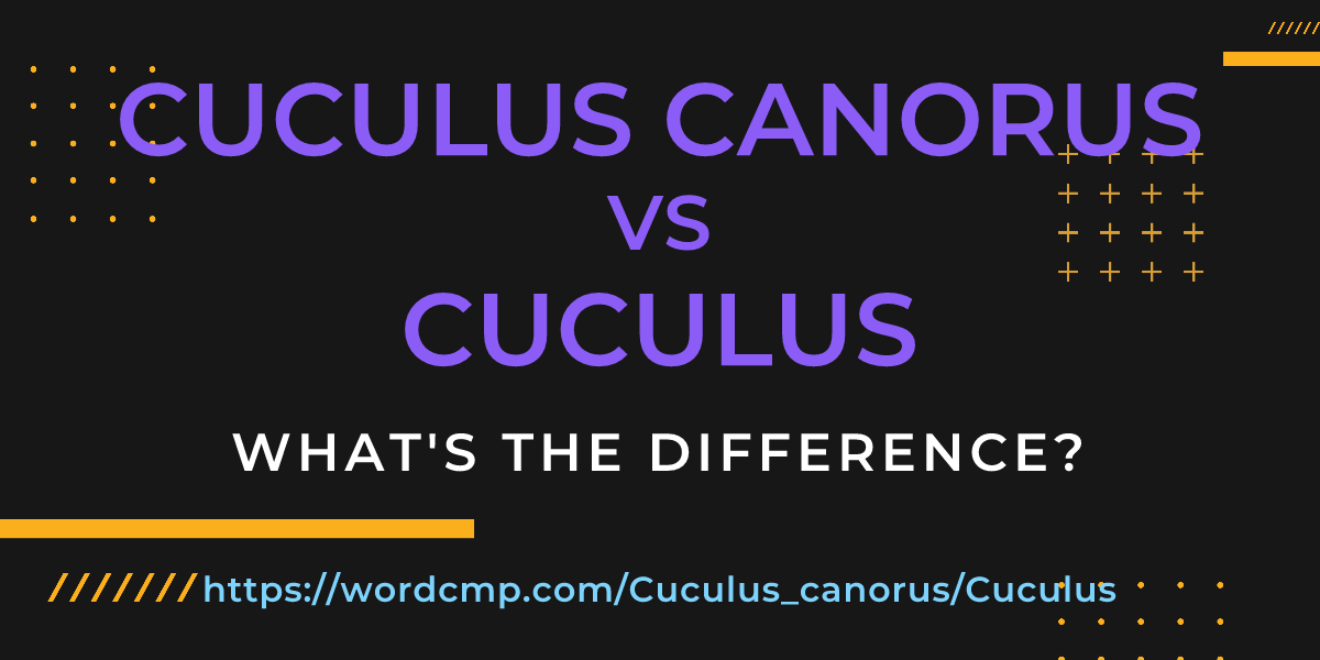 Difference between Cuculus canorus and Cuculus