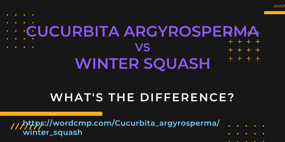Difference between Cucurbita argyrosperma and winter squash