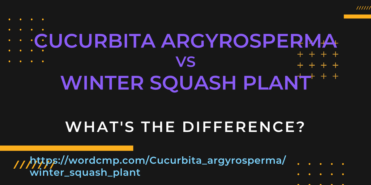 Difference between Cucurbita argyrosperma and winter squash plant