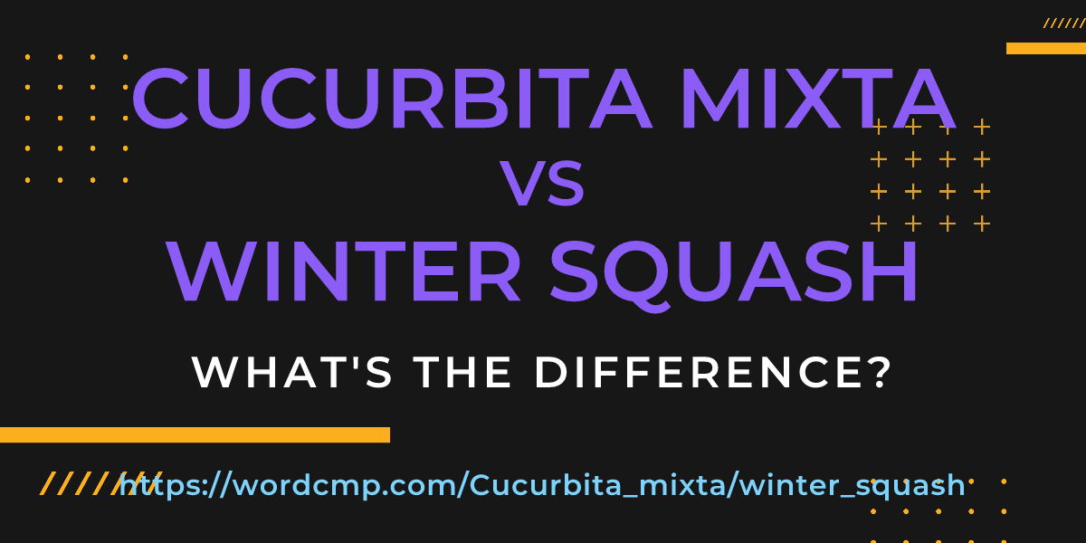 Difference between Cucurbita mixta and winter squash