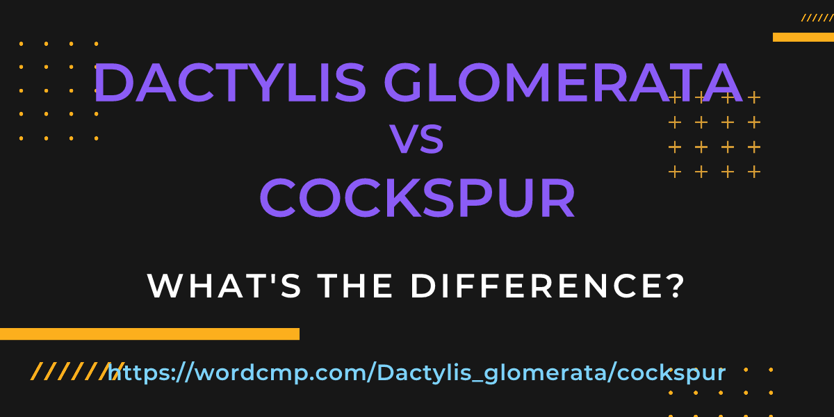 Difference between Dactylis glomerata and cockspur