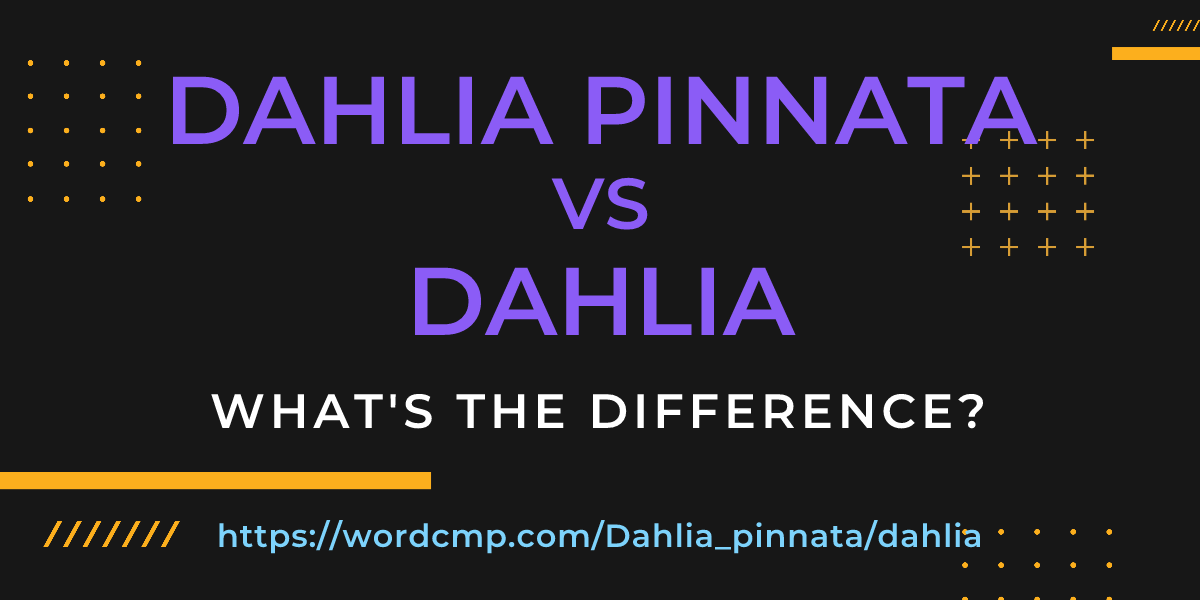 Difference between Dahlia pinnata and dahlia
